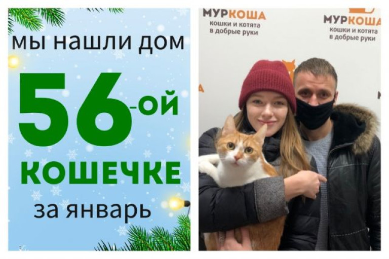 У кошечки Сальчичон появились дом и семья!