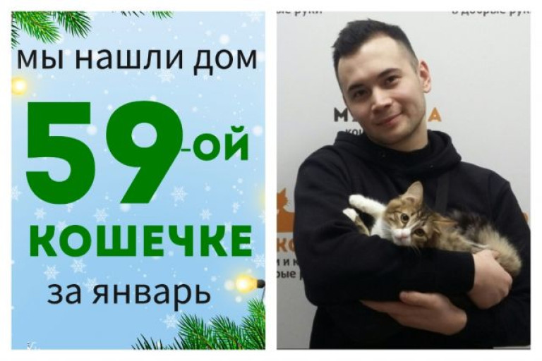 Кошечка Мяуча стала домашней любимицей!