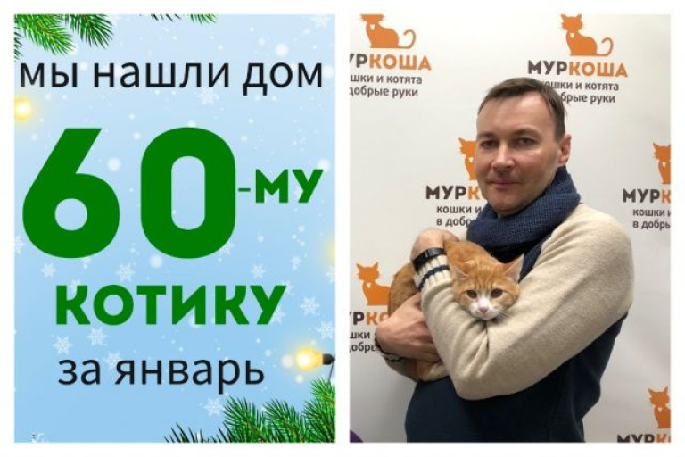 Котик Бенисио встретил свою новую семью!