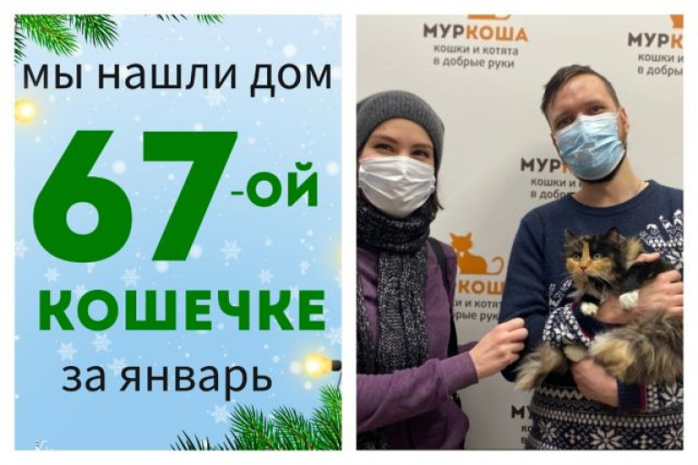 Кошечка Пухля встретила верных друзей!