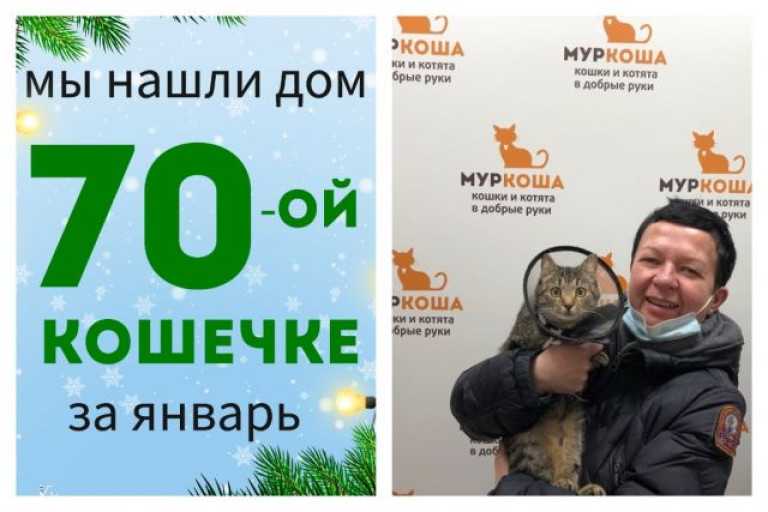 Очаровательная Персида теперь домашняя и счастливая!