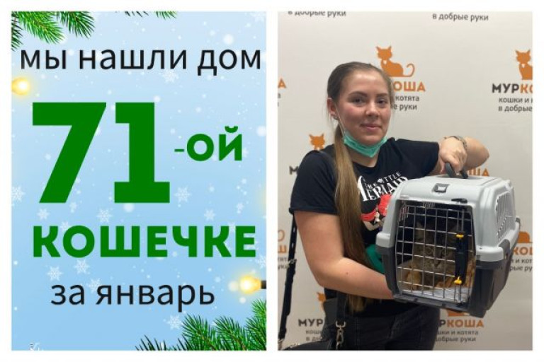 Кошечка Юляша познакомилась со своей хозяйкой!
