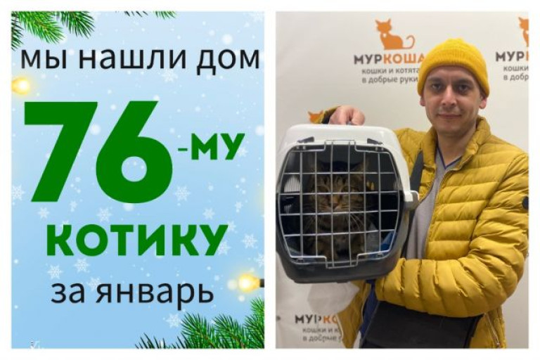 Котик Михалыч обрел домашнее счастье!