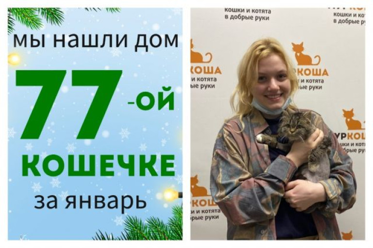 Кошечка Макфлурри начинает счастливую домашнюю жизнь!