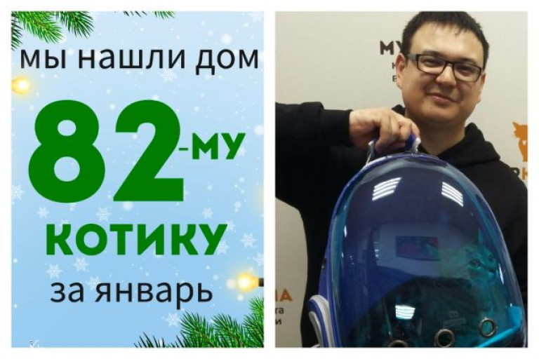 Котенок Армстронг отправляется домой!