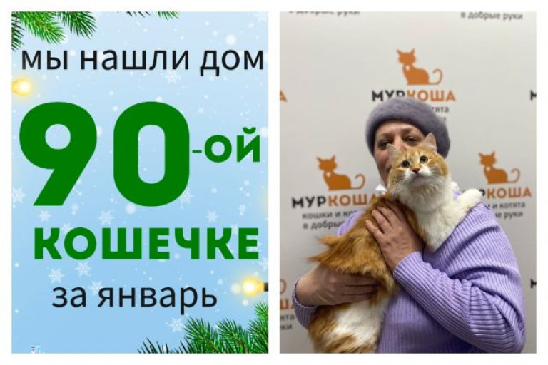 Кошечка Глаша нашла дом за два месяца!