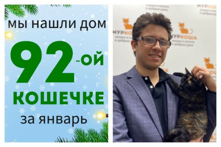 Кошечка Мурмышка встретила надежного хозяина!