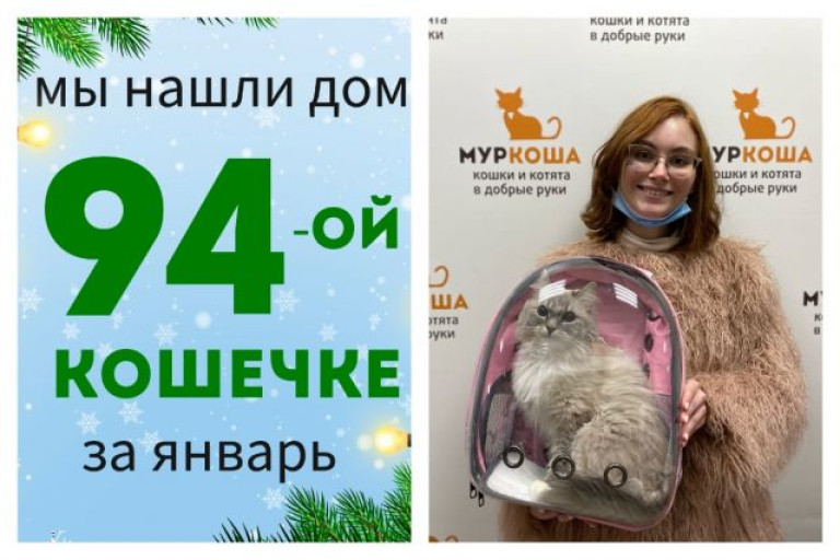 Красавица Лисуня нашла дом за полтора месяца!