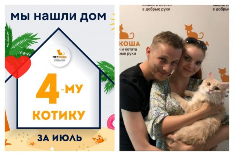 Котик Дроздов отправился в главное путешествие – домой!