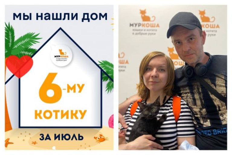 Крошка Криспи стал домашним любимцем!