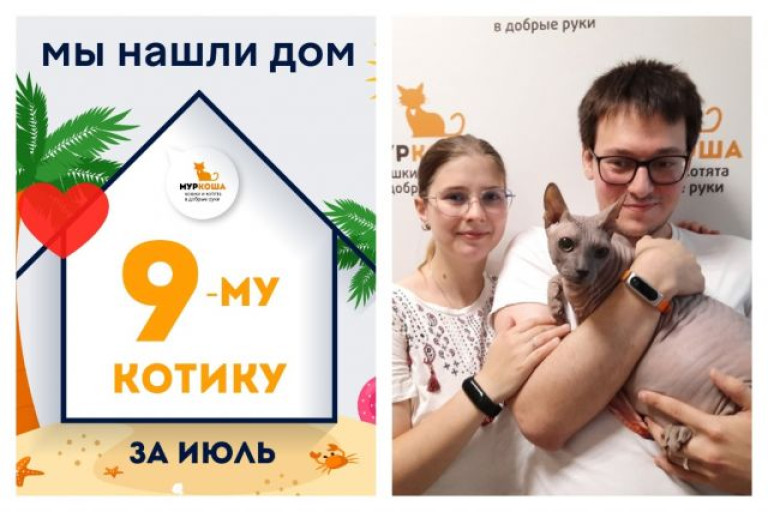 Котик Лордик встретил своих заботливых хозяев!