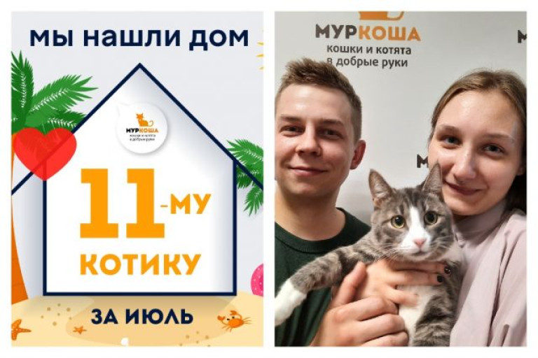Очаровательный Кассир отправился в домашнюю жизнь!