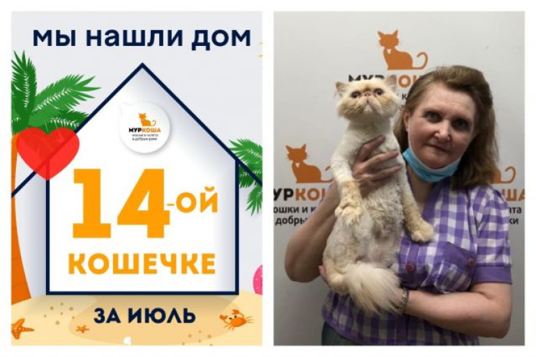 Кошечка Маваши стала частью прекрасной семьи!
