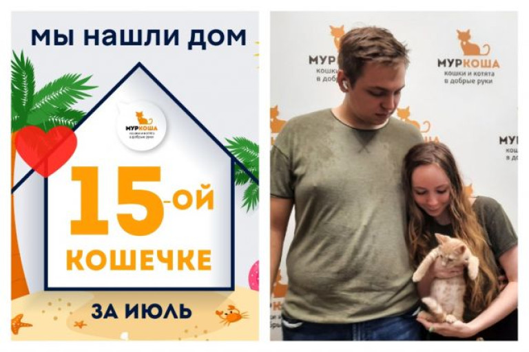 Трёхмесячная кошечка Нектаринка стала домашней!