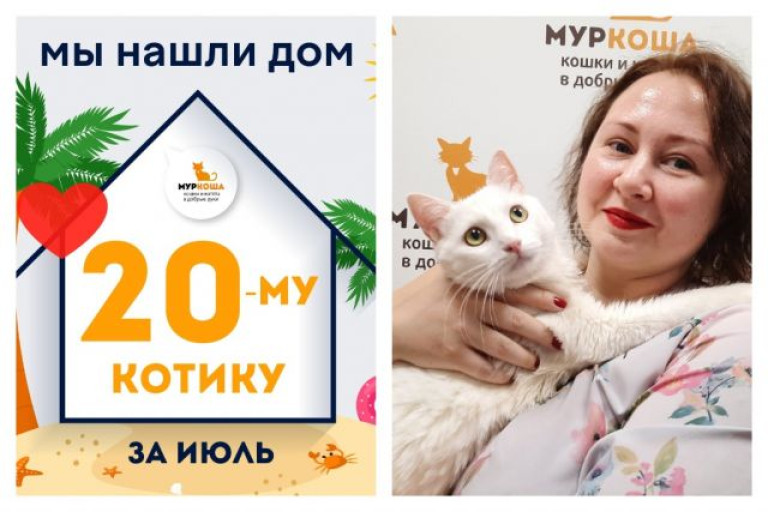 Котик Снежинкин нашел новый дом за один месяц!