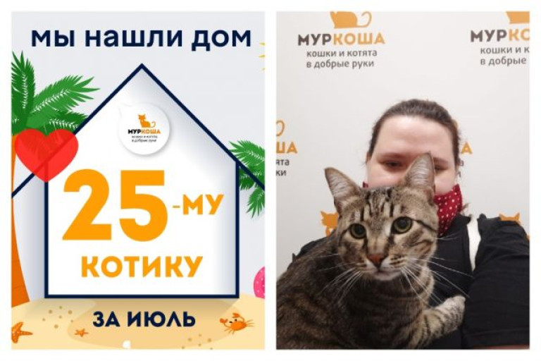 У котика Кексика теперь есть дом и семья!