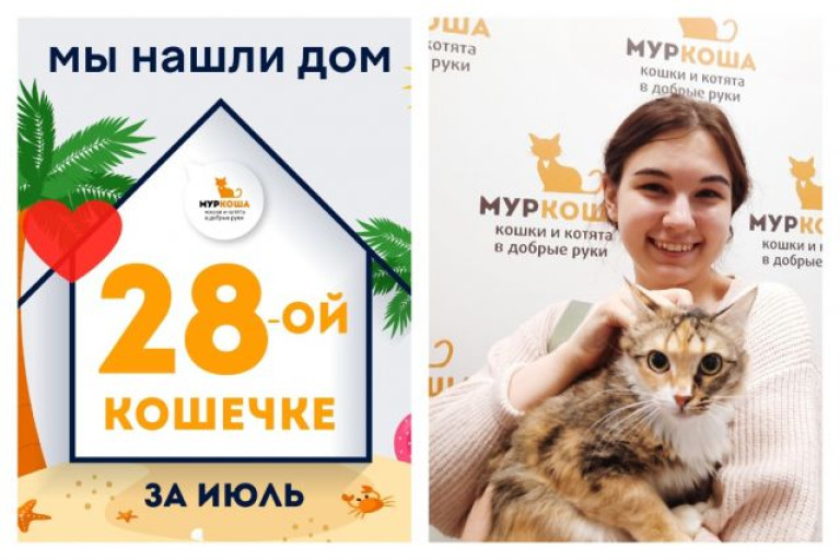 Кошечка Баби встретила надежную хозяйку!