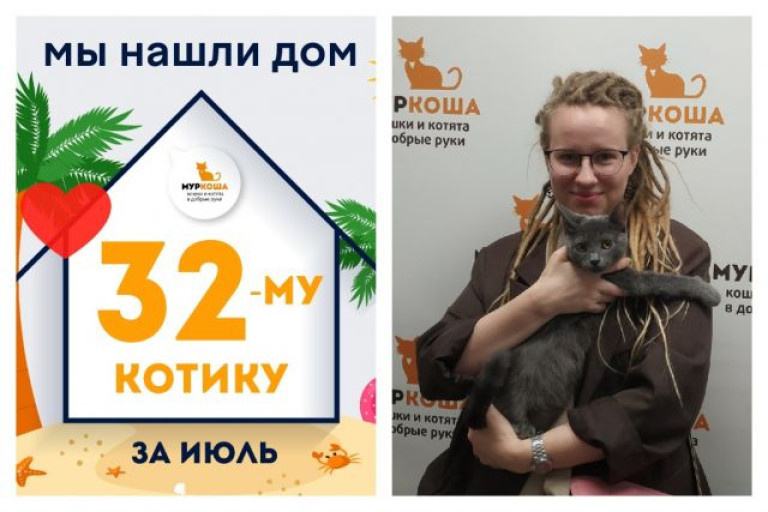 Котёнок Брюлик стал домашним за два месяца!