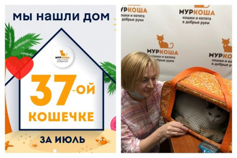 Кошечка Морозко начинает домашнюю жизнь!