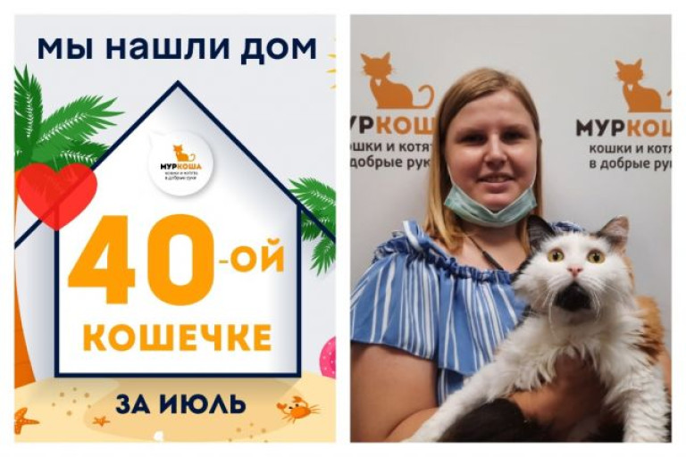Кошечка Дашенька отправилась в новый дом!