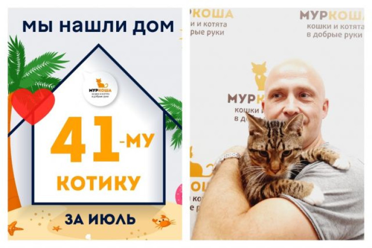 Котик Маркус стал домашним и счастливым!