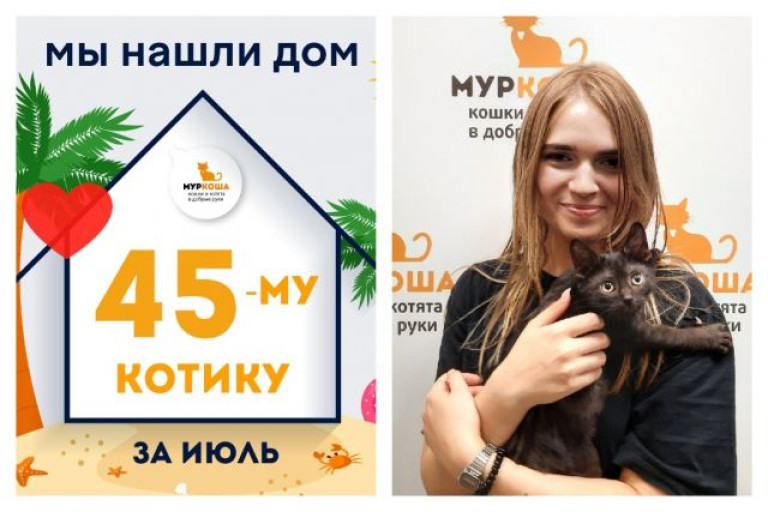 Крошка Брейк теперь в надёжных руках!