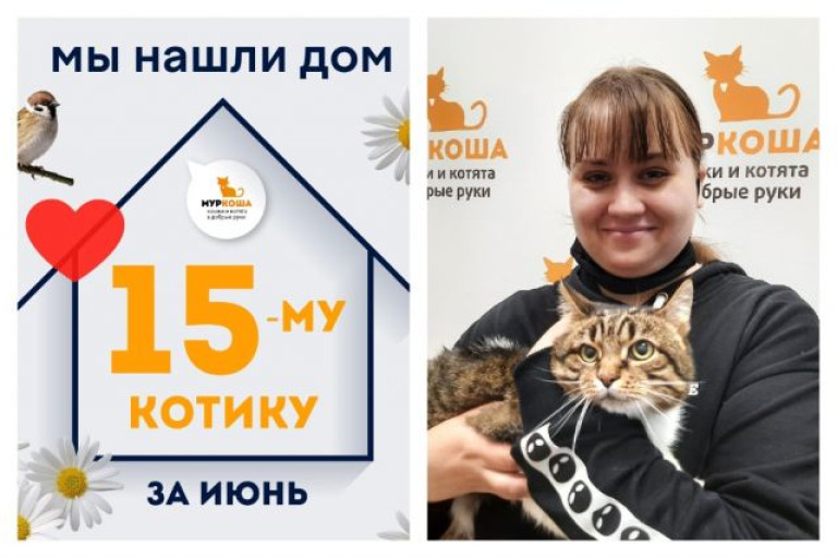 Котик Филюшка начинает жизнь с чистого листа!