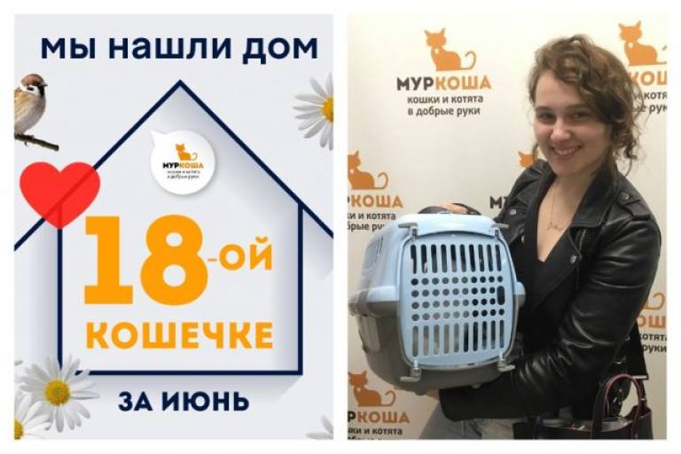 Кошечка Баронесса стала домашней любимицей!