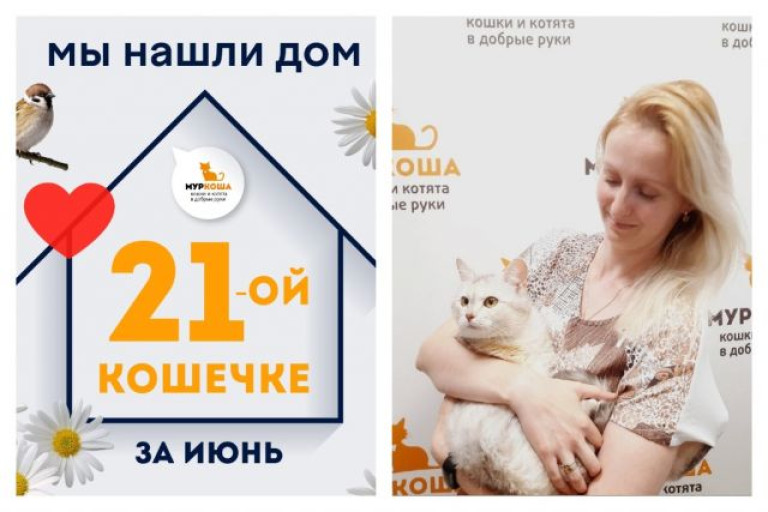 Кошечка Тыквочка встретила заботливую хозяйку!