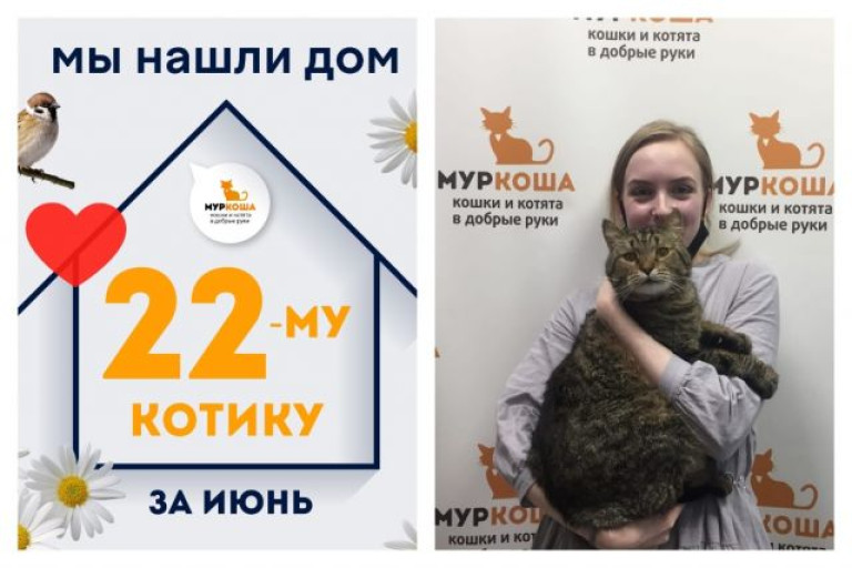 Котик Вождь начинает домашнюю и счастливую жизнь!