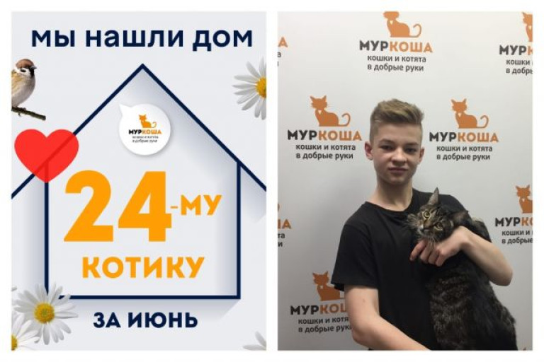 Котик Руфик начинает жизнь с чистого листа!