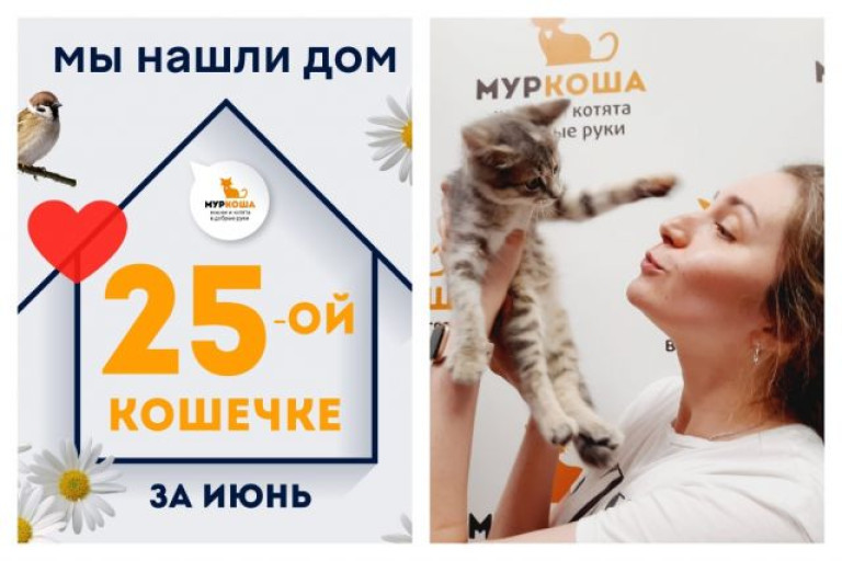 Малышка Рюшка стала домашней за один месяц!