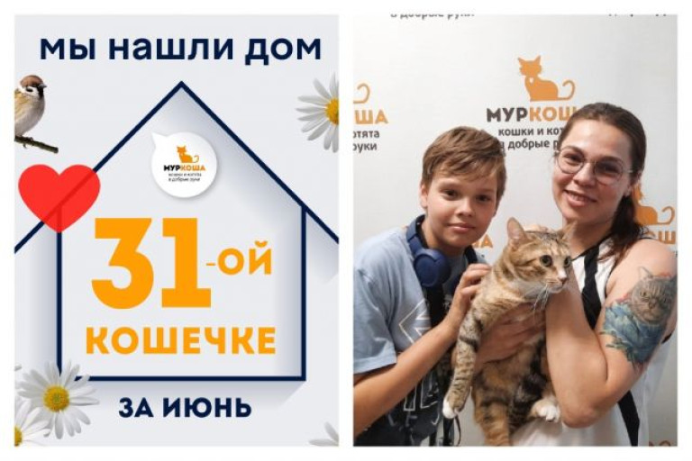 Кошечка Бомбон стала домашней и счастливой!