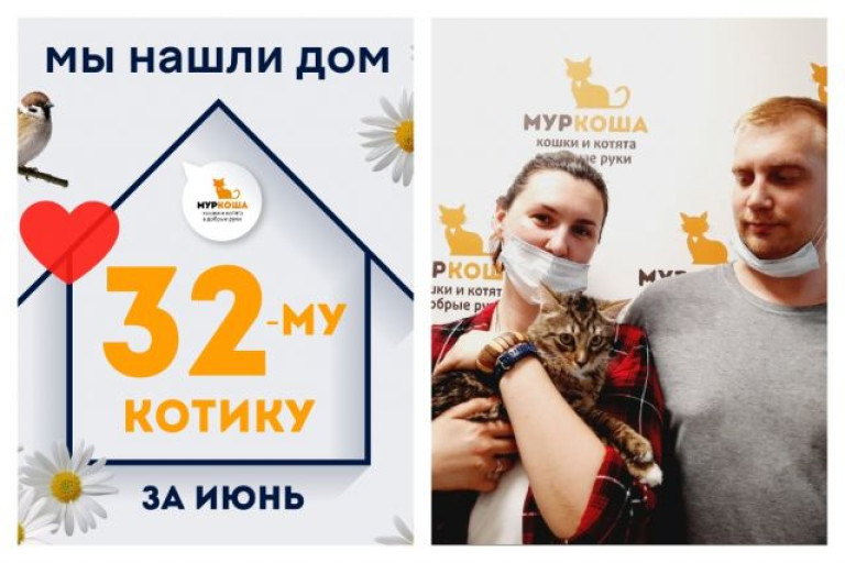 Котик Коточчино стал домашним за две недели!
