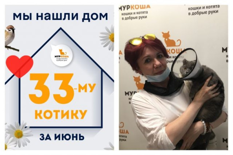 Котик Челентано начинает новую жизнь!