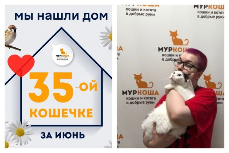 Кошечка Матильда отправилась домой!