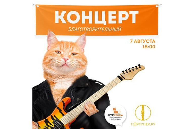 Любите музыку и хотите помочь котикам?