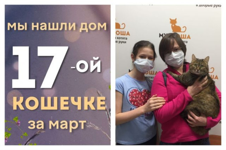 Кошечка Тата начинает жизнь с чистого листа!