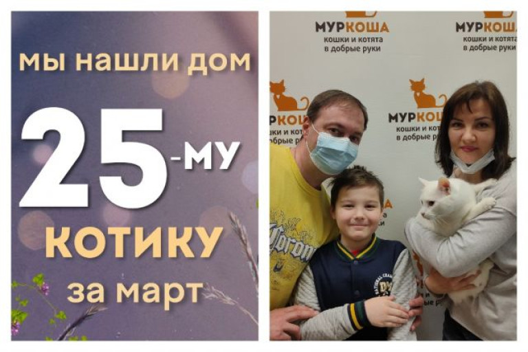 Белоснежный котик Бланко отправляется домой!