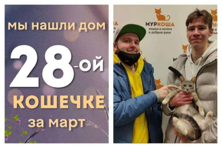 Кошечка Матата получила новый шанс на домашнее счастье!