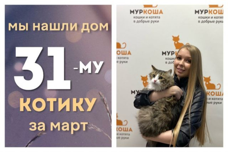 У котика Лайма появилась заботливая хозяйка!