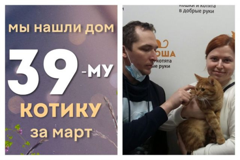 Котик Плюх теперь в надежных руках!