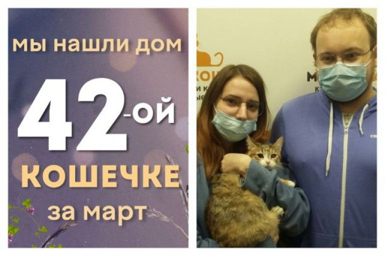 У кошечки Чечевички теперь есть дом и семья!
