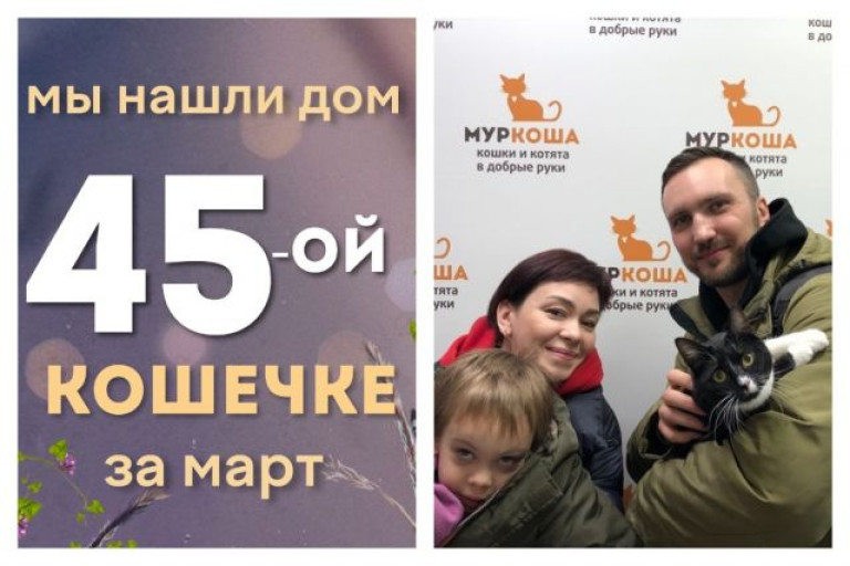 Милая Греча стала домашней и любимой!