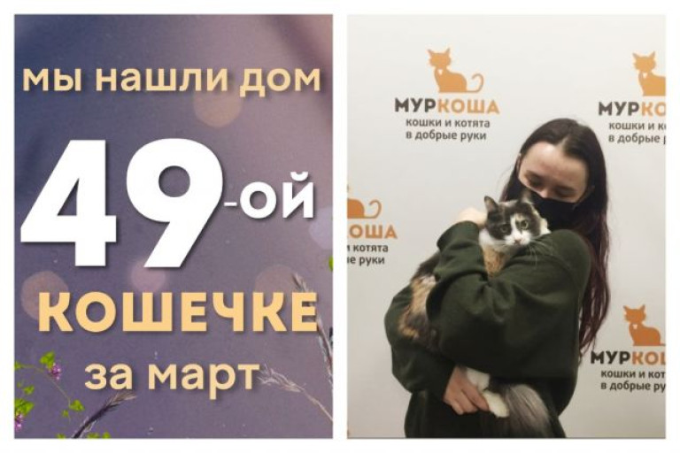 Кошечка Александрия отправилась в домашнее королевство!