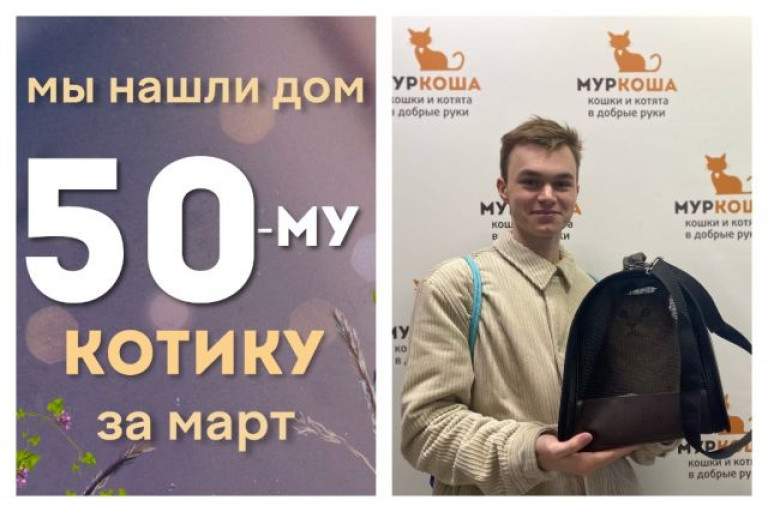 Котик Митенька стал домашним за один месяц!