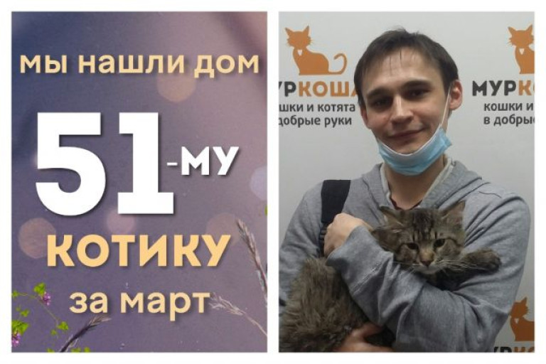 Милый Клубочек уезжает в новый дом!