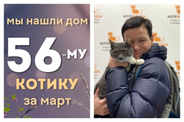 Котик Леонардо стал домашним и счастливым!
