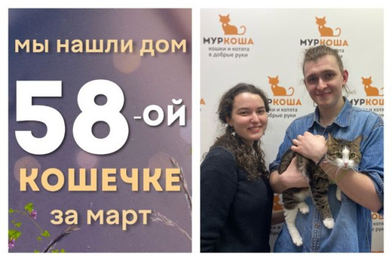 Кошечка Креветка теперь домашняя и счастливая!