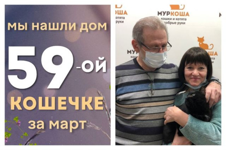Кошечка Паслёнка стала домашней за полтора месяца!
